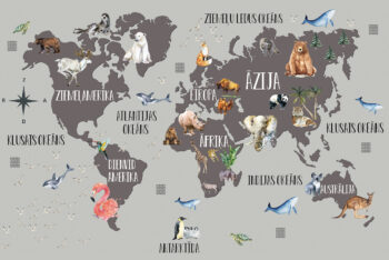 Pasaules karte ar fonu