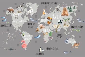 Pasaules karte ar fonu