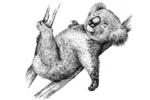 Premium sienas uzlīmes koala lācītis bērnistabas un bērnu istabas interjeram Zukzuks
