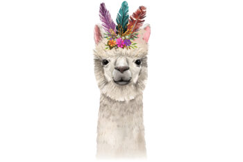 Lama