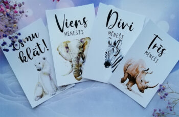 Safari mēnešu foto kartiņas