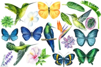 Krāsainas sienas uzlīmes bērnistabai ar tropu taureņiem, kolibri putniņiem, zaļām lapām un eksotiskiem ziediem.