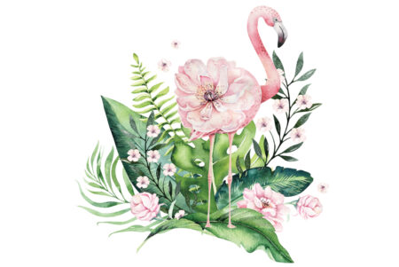 Flamingo