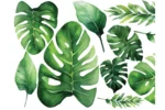 Akvareļa monstera sienas uzlīmju komplekts