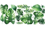 Akvareļa monstera sienas uzlīmju komplekts