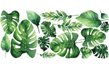 Monstera un banānu lapas