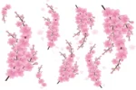 Sienas uzlīmes Sakuras komplekts galvenais attēls