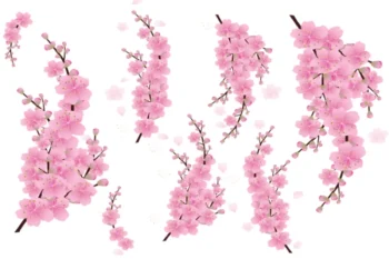Japāņu ķiršu ziedu sakuras sienas uzlīmju komplekts ar atsevišķiem zariem radošam sienas noformējumam bērnistabā.