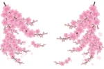 Sienas uzlīmes Sakuras komplekts galvenais attēls