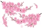 Sienas uzlīmes Sakuras komplekts galvenais attēls